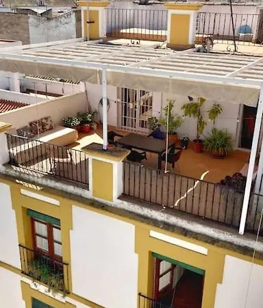 Atico Plaza Cristo De Burgos Apartment